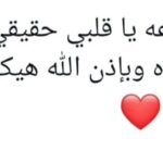 WhatsApp Image 2026-01-08 at 1.59.26 AM